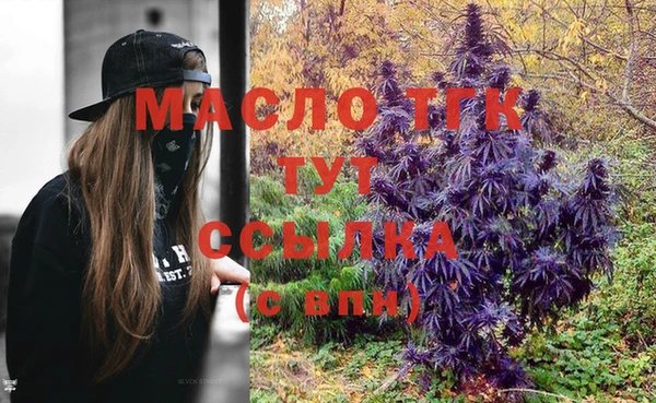 дмт Касимов