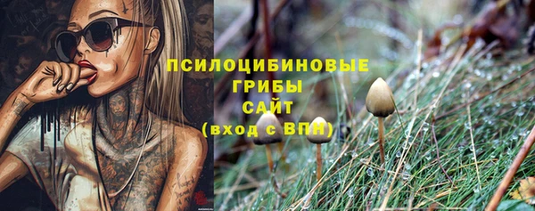 Альфа ПВП Иннополис