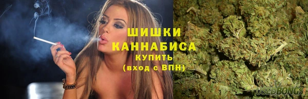 дмт Касимов