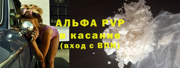 дмт Касимов