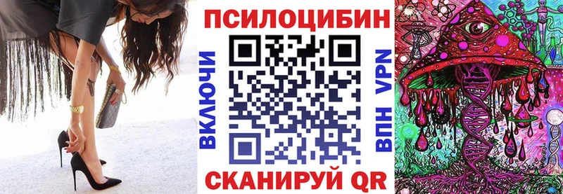 Псилоцибиновые грибы Magic Shrooms  купить наркоту  Красный Холм 